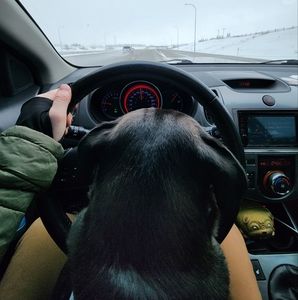 Meet your Posher, Ralph